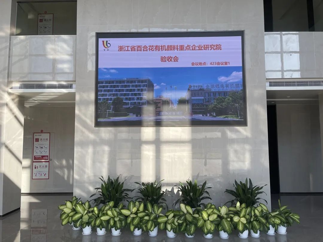 熱烈慶祝浙江省百合花有機(jī)顏料重點(diǎn)企業(yè)研究院通過驗(yàn)收